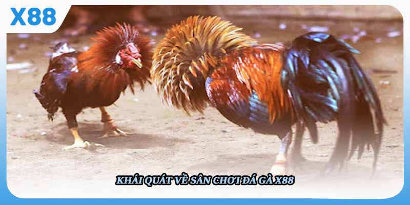 Khái quát về sân chơi Đá gà X88